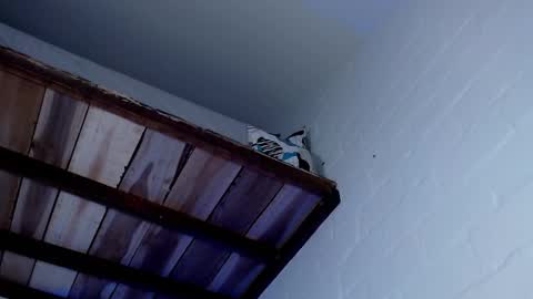 Michael Caicedo online show from March 12, 7:57 am