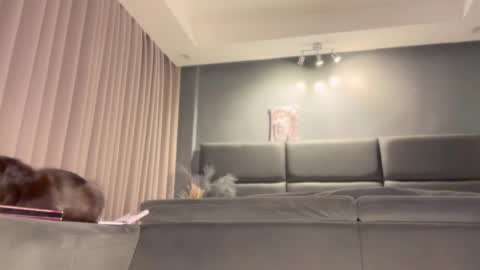 Snapshot of jacolandia chatting on February 23, 6:56 pm jacolandia online show from February 23, 6:56 pm