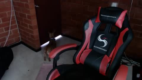 jadesexfun online show from March 12, 2:45 pm