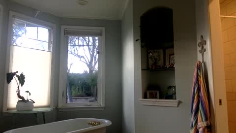 janicepepper online show from March 2, 12:53 am