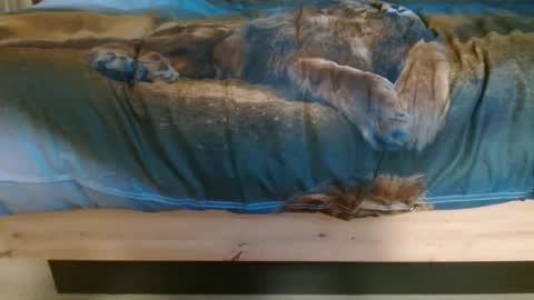 JasMarks online show from January 9, 5:07 pm