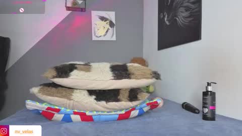 JAZMIN online show from February 13, 11:30 pm