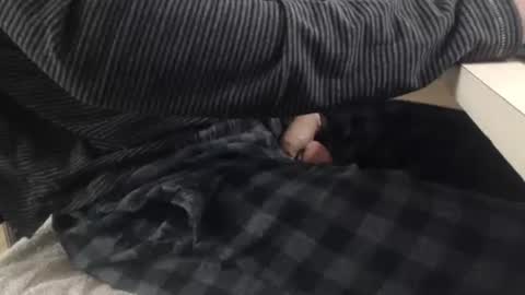 jc200000 online show from November 3, 6:31 pm