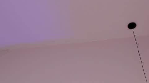 JessieCaameron online show from February 20, 12:08 am