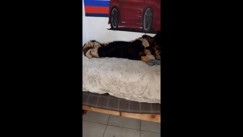 jessymartinez672 online show from March 27, 10:11 pm