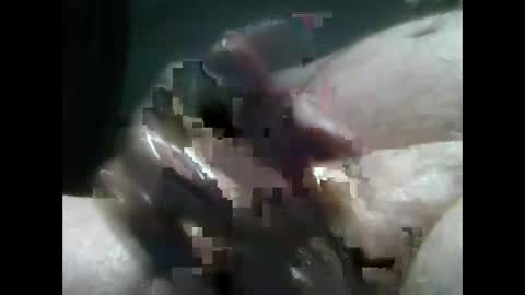 Snapshot of jimboluv488 chatting on December 18, 2:10 am jimboluv488 online show from December 18, 2:10 am