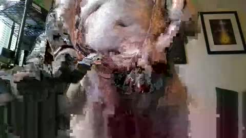 jmos20xx online show from October 18, 11:20 pm