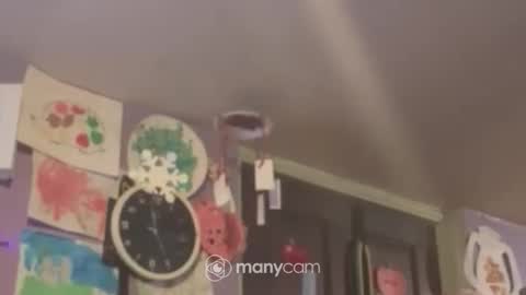 johnnyshung1 online show from December 16, 9:57 am