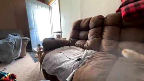 jrj3333 online show from December 4, 9:25 pm