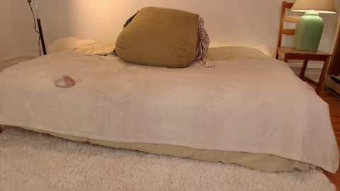 Jsmine  and sometimes Beaulooks online show from November 25, 11:03 pm