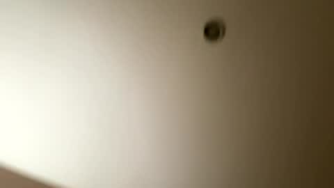 bearcammx online show from July 26, 4:32 am