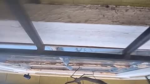 Carlos online show from January 13, 7:31 pm