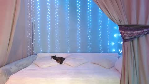 Julia online show from November 30, 2:13 pm