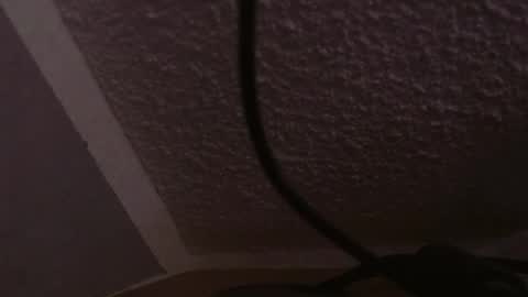 Gregor online show from February 25, 12:38 pm