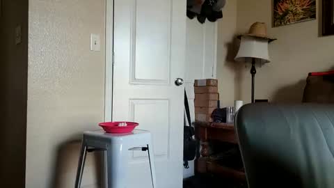 Snapshot of just4fun1523 chatting on September 12, 8:33 pm just4fun1523 online show from September 12, 8:33 pm