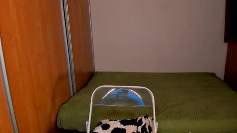 Nika and Mark online show from February 23, 2:36 am