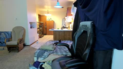 Kaiku77 online show from September 30, 5:40 am