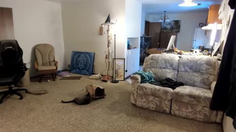 Kaiku77 online show from January 5, 8:01 pm