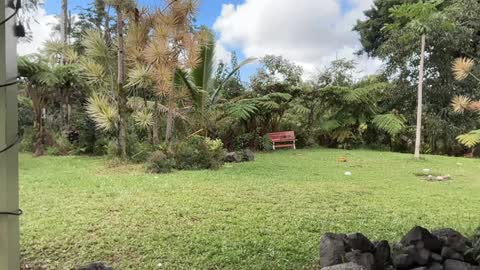 Kailee Smile online show from February 18, 11:37 pm