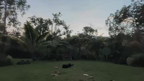 Kailee Smile online show from April 24, 4:14 am