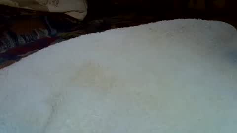 Kangarooh66 online show from November 14, 8:05 am