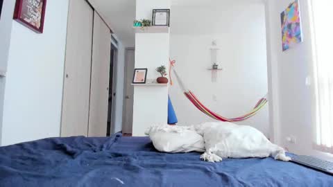 Karlye online show from February 19, 4:33 pm