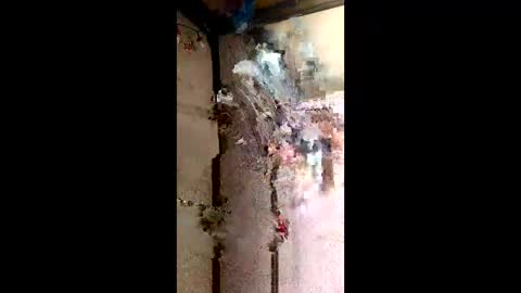 KushGardens online show from January 11, 2:50 am