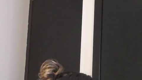 Help me with rate thanks  online show from February 27, 5:40 am