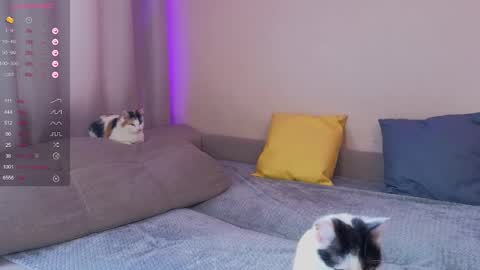 Snapshot of katerinnna chatting on January 30, 5:52 am Katerina online show from January 30, 5:52 am