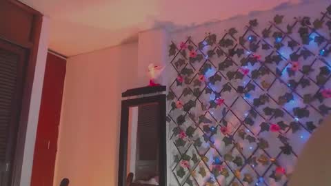 Johanna  online show from February 5, 4:05 am