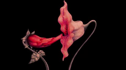 katsuro online show from October 23, 10:32 pm