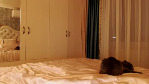 Kim Lee  online show from December 14, 7:14 pm