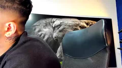 Angel Falconer online show from November 26, 3:15 am