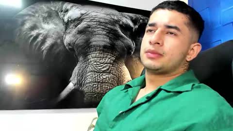 Angel Falconer online show from November 24, 1:26 am