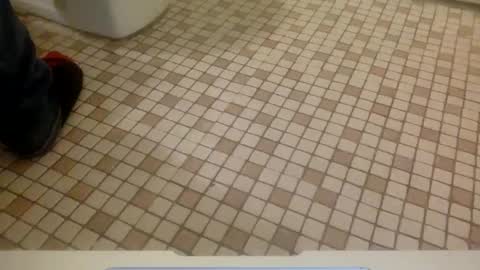 loyal fuck online show from November 26, 5:16 am