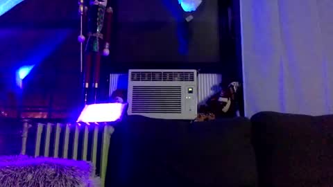 loyal fuck online show from January 11, 5:20 am