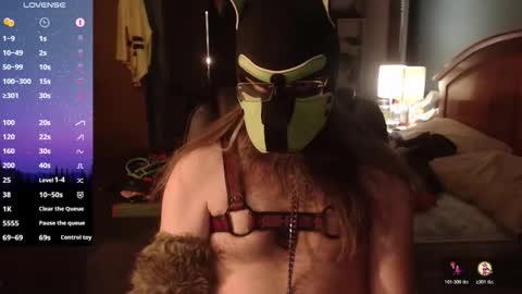 kinkywolf87 online show from April 26, 6:33 am