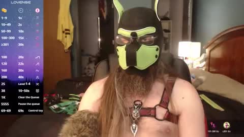 kinkywolf87 online show from April 21, 9:22 pm