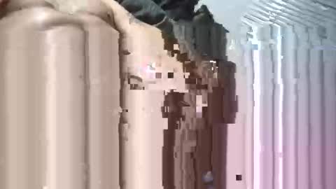 klqbxyhogauv online show from October 9, 10:21 am