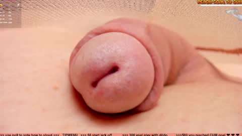 Petra online show from April 2, 8:49 pm