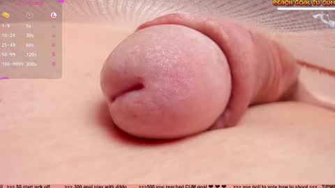 Petra online show from March 10, 6:56 pm