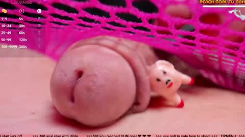 Petra online show from February 24, 7:52 pm