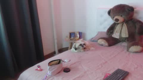 Sara online show from November 5, 10:01 pm