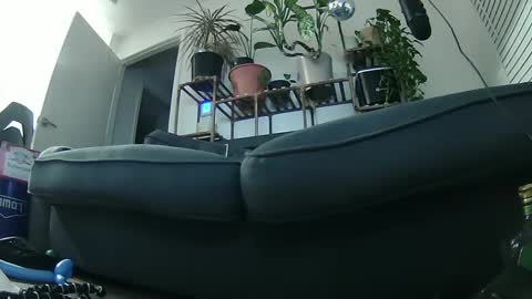 Snapshot of laidback_and_chill chatting on January 19, 5:26 am Rick online show from January 19, 5:26 am