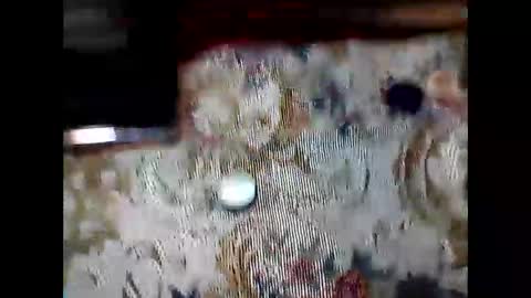 Carlosss online show from February 28, 12:58 am