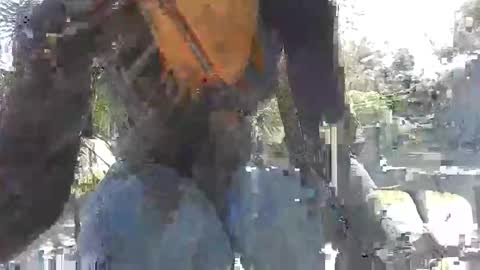 LALOVE99 online show from October 14, 4:21 pm