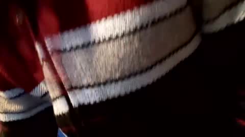 Shado online show from October 10, 8:53 am