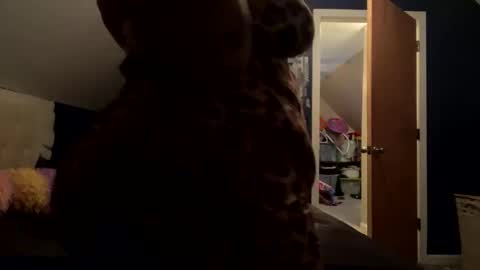 latinabbw444 online show from November 9, 12:58 am