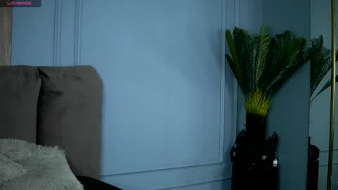 Medy online show from January 7, 2:10 am