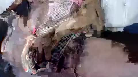 Snapshot of latoyyabed1 chatting on February 27, 1:19 am latoyyabed1 online show from February 27, 1:19 am